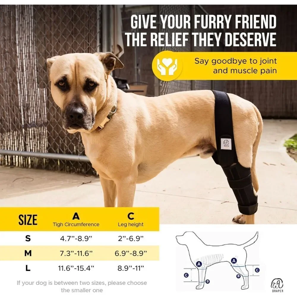 Dog Knee Brace for Torn ACL Hind Leg with Injury‎ Dog Sling Harness size S